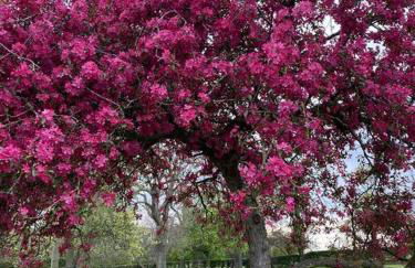 North Cottage Marlfields Hall, Stunning Location - Foto 11