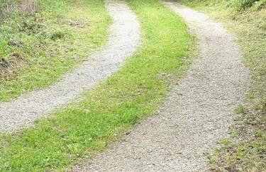 Spacious Country House for 8 near Olot Remote Work & Nature Escape - Photo 70