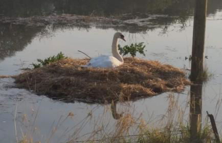 The Old Salt Store, 2 bed apartment with stunning river view - Photo 28