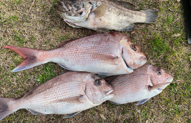 Sunset Oddes-sea - Photo 13