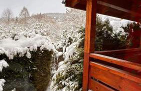 Góralska Chata & Spa - Foto 31