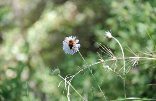 Irene's Apartment In Salakos - Foto 58