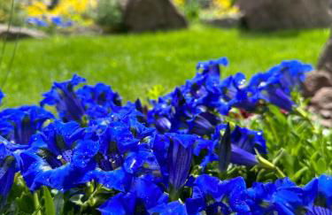 Mansarda Le Genziane di Fiemme - Foto 74