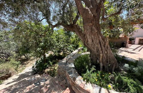 Cortijo Al-Andalus - Foto 56