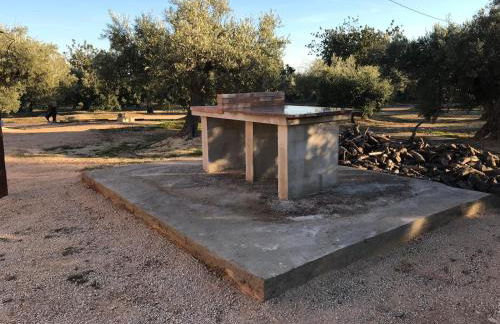 Cau d'Amor - Foto 31