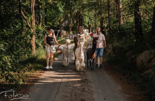 Agroturystyka Zagroda Alpaka - Foto 23