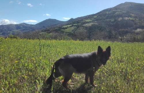 Agroturismo La Casona de Belmonte - Foto 104