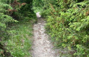 Gîte du blé normand - Foto 32