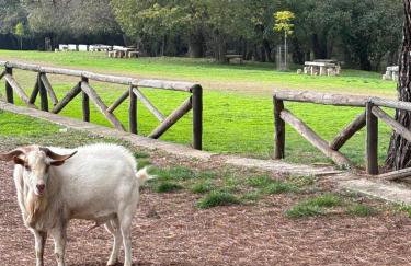 Casa Celia - Foto 23