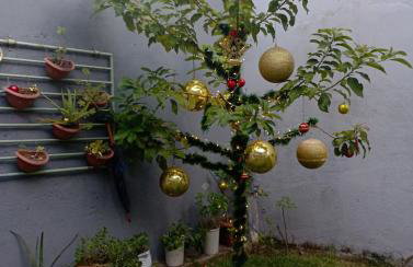 Casa de Mainha - Foto 42