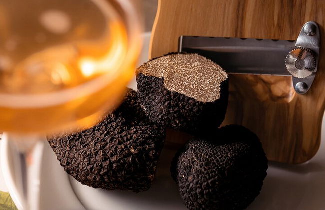 Traditional Pasta Making Class in Parma - Photo 10