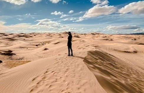 Sandboard aux dunes de Samalayuca - Photo 1