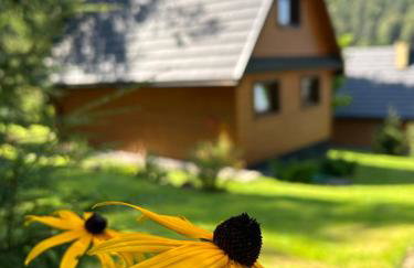 Reset Bieszczady - Foto 1