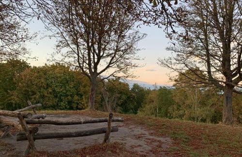 Fachwerkhaus in ruhiger Altstadt by Rabe - eigene Terrasse, Smart-TV, Netflix - Foto 31
