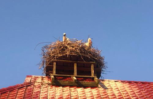 Storchenhof - Foto 23