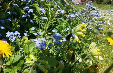 Ferienhaus Nr 2 - Das kleine Haus im Haus - Foto 35