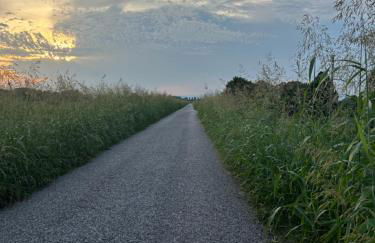 Portego mio - Foto 24