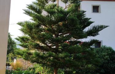 Magdalini Studio - Foto 10