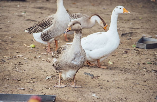Hotel Guânxi - Foto 17