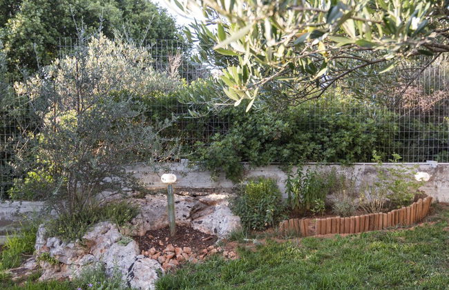 Villa Iasmi - Photo 24