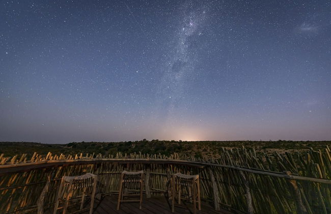 Euphorbia Mashatu - Foto 41