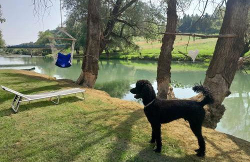 Villa Cesarica - Foto 18