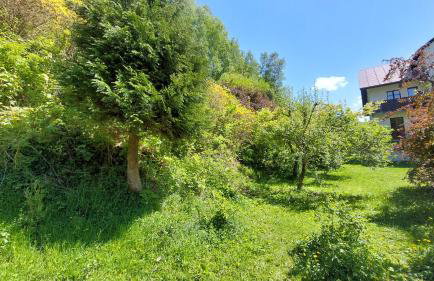 Apartament Międzygórski - Foto 34