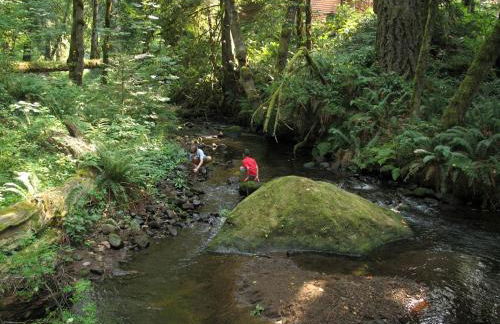 Secluded Forest Cabin in Rhododendron near Mt Hood Village in Oregon - Foto 11