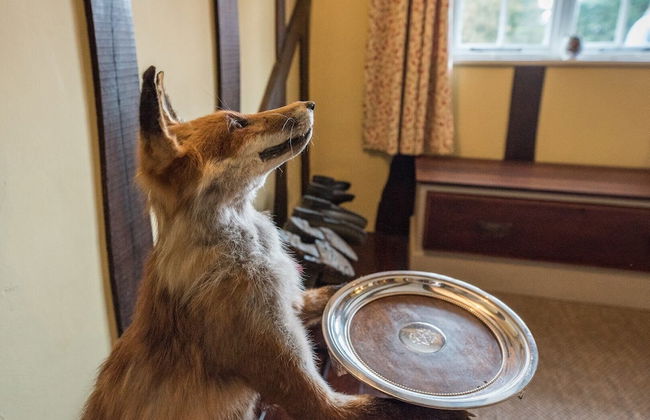 Bridge House, Kersey - Foto 33