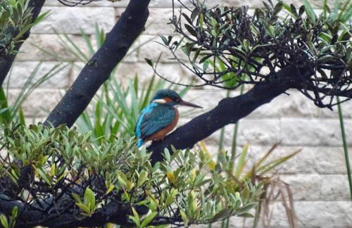 Maison du Lac - Foto 60