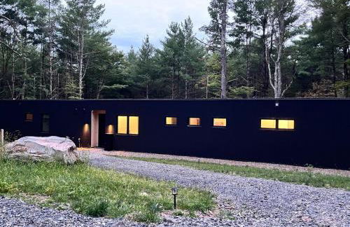 Modern Family Retreat in the Catskills Wilderness - Foto 1