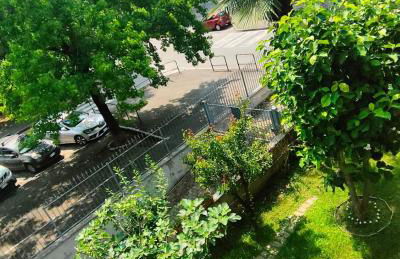 La Magnolia - Photo 34