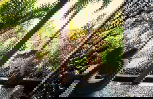 Aitutaki Escape - Foto 17