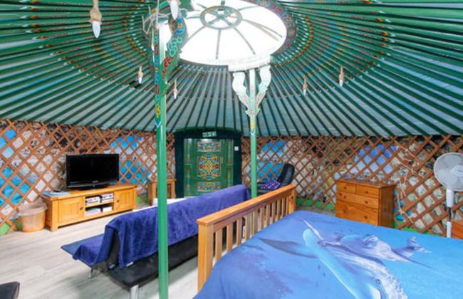 Green Yurt With Hot Tub - Sleeps 3, Parking & Wifi - Photo 20