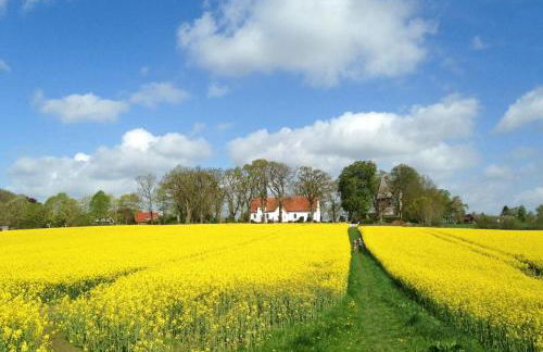 Schleiglanz - Foto 24