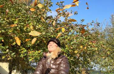 Urlaubsreiterhof Trunk - Foto 57