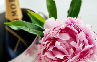 Pfälzer Herzel mit 2 Schlafzimmern und Blick über die Rheinebene kostenfreiem Parkplatz und Wlan fußläufig zum Wald und den Weinbergen Weinkühlschrank Brötchenservice Garten mit Gasgrill - Foto 47