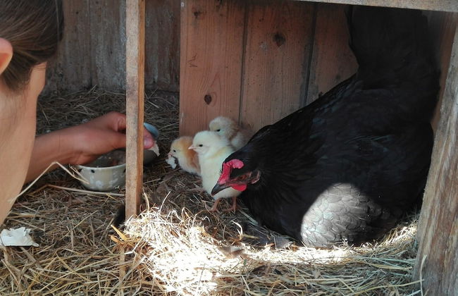 La Grange de Capucine, gite de caractère - Foto 63