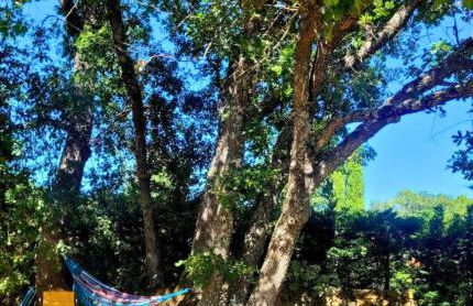 Joli mas "Rêve de lune" en plein coeur du Luberon - Foto 53