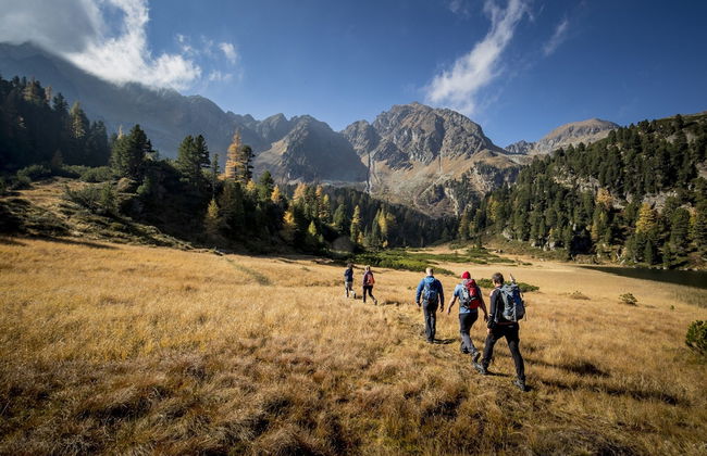 Ferienwohnung mit 2 Schlafzimmern & Sauna - Photo 18