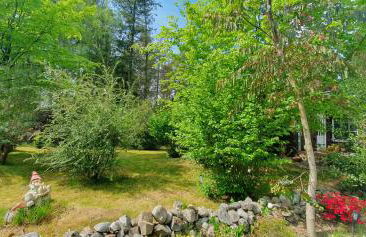 Ferienhaus Herzkate - Foto 2