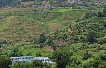 Vineyards Valley House - Foto 28