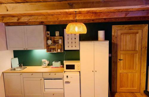 Igły i szyszki - Foto 2