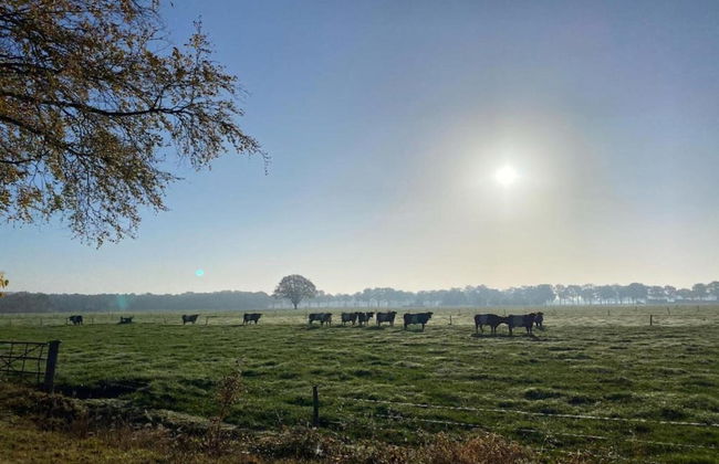 Modern Chalet With Nice Sliding Doors Near Lochem - Foto 29