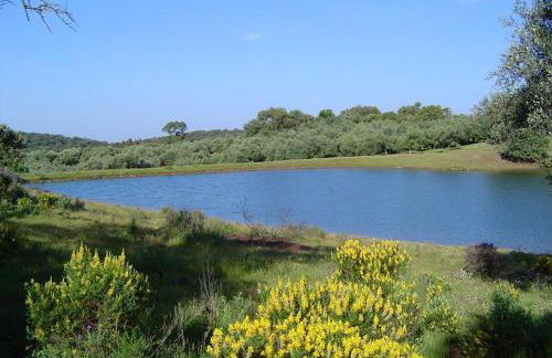 Las Navezuelas - Photo 46