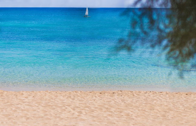 3250 Calipso Villa & Spa by Perle di Puglia - Foto 73