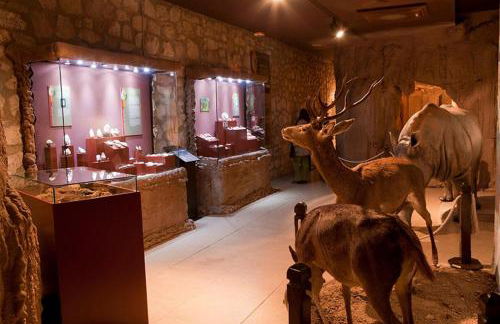 Apartment Palacio de Los Vibora Parking Gratis - Foto 28