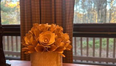 Poconos Cabin Near Skiing - Foto 5