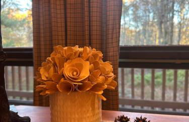 Poconos Cabin Near Skiing - Foto 5