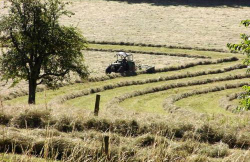 Wiesenzauber Appartement - Photo 10
